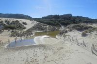 Dünen in Cala Mequida