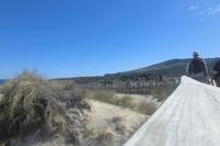 Dünen in Cala Mequida