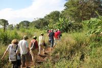 Spaziergang durch die Felder am Habarana-See