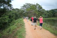 Kleine Wanderung am Habarana-See