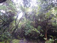 Im Nationalpar Vulkan Poas