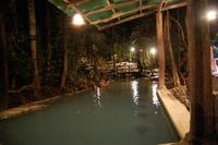 Thermalbecken mit Bar 