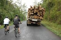 Auf dem (Rad-)Weg nach Muelle