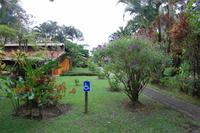 Anlage des Hotels Catarata Eco-Lodge in La Fortuna
