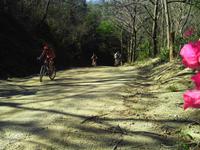 Fahrt von Samara zur Baringona-Bucht