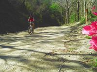 Fahrt von Samara zur Baringona-Bucht