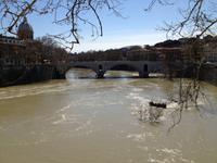 108 Tiber