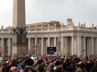 204 Palmsonntag auf dem Petersplatz