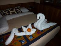 jeden Tag neue Kreationen aus den Handtüchern