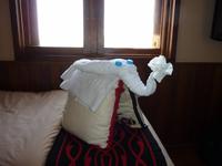 Elefant