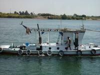 Schlepper