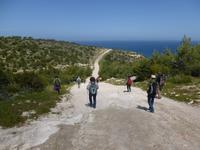 Wanderung auf der Akamashalbinsel