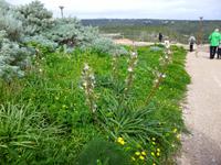 wandern bei Bonifacio