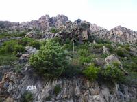 Scala di Santa Regina