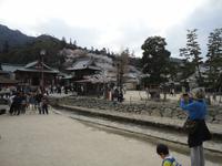 Miyajima_10