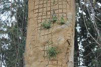 An der Eyüp-Moschee