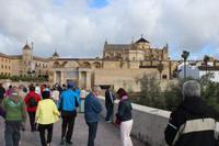 Blick auf die Mezquita