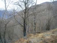 Fahrtimpressionen mit der Centovalli-Bahn