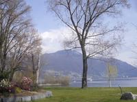 Kamelienpark in Locarno