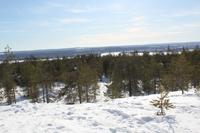Spaziergang im Skigebiet bei unseren Bungalows