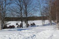 unsere Kraftpakete =)