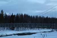 über die Brücke in den Wald hinein