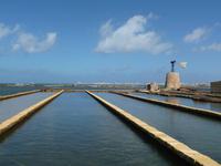 Trapani_Saline