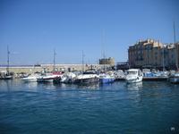 alter Hafen von St.Tropez