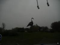 Vin de Sable Camargue -Flamingowein 