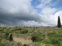 050_Volubilis