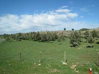 087_Fahrt nach Erfoud