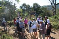 Parque Guayanara auf dem Weg „Centinelas de Rio Melodioso