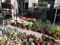 Wochenmarkt in Sineu