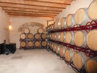 Im Weinkeller der Bodega