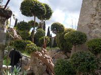 In den Gärten von Alfabia