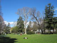 Lugano-Park der Villa Ciani