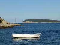 Meerblaue Augen wie die Adria...