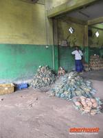 Ananas-Händler auf der Straße Richtung Dambulla