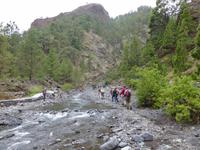 Wanderung in der Caldera Taburiente