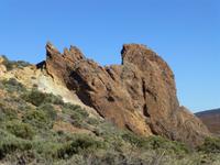 Haifisch, Hexe und Bär... ;-)