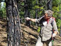 unser Reiseleiter Othmar