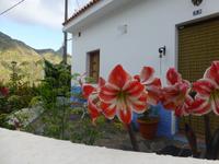 Afur im Anaga-Gebirge