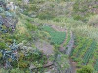 Wanderung im Anaga-Gebirge