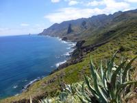 Küstenwanderung Teneriffa