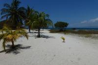 Cayo Blanco in der Karibik