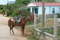 Wanderung durchs Vinales Tal