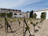 Bodega Tio Pepe in Jerez de la Frontera