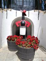 Bodega Tio Pepe in Jerez de la Frontera