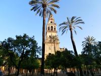Glockenturm im Innenhof der Mezquita Cordoba