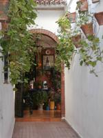 Patio in Cordoba